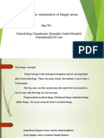 Microscopic Examination of Fungal Smear