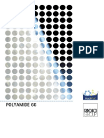 Polyamide 66 - 2013 - Web