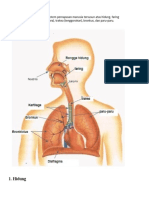 Saluran Pernafasan
