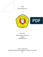 Paper Ekonomi Pertanian - Shella Aprillia Maharani - 134200232 - PATE
