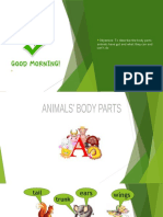 Animal Parts - Class 2