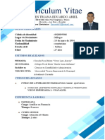 Curriculum Vitae FLORES TRIANA EDUARDO ARIEL