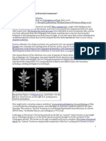 Evolutionary Change in Darwin's Tomatoes