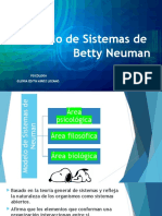 Modelo de Sistemas de Betty Neuman