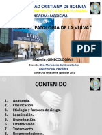 Tema 1 Patologia de La Vulva