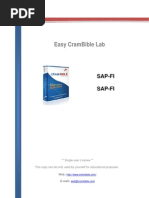 Easy Crambible Lab: Sap-Fi Sap-Fi