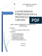Los Incencios Forestales en La Provincia de Canchis