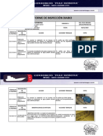 Informe Diario 060115 Piasmorona