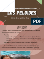 Peloides