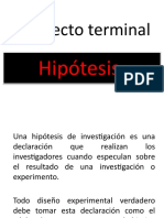 Proyecto Terminal: Hipótesis