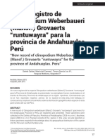 Nuevo Registro de Plantas - Andahuaylas