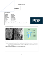 Deskripsi Madrepora Aspera