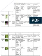 Toxicidad de plantas y tratamientos