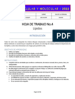 Hoja de Trabajo No. 4 Lípidos (1) - Convertido (1) - Comprimido