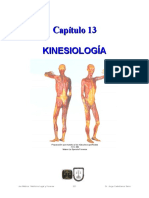 13 Kinesiología