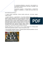 AKG Kertészet Gyakorlat PDF