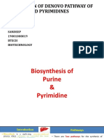 Purines and Pyrimidines