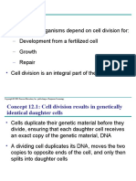 The Cell Cycle