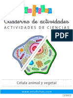 CI0003 Celula Animal Vegetal Edufichas