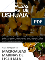 Guía fotográfica de macroalgas marinas de Ushuaia