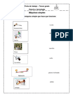 Ficha de Trabajo de Las Maquinas Simples