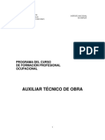 Plcem Auxiliar Tecnico de Obra