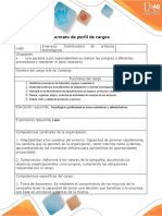 Formato - Perfil de Cargos