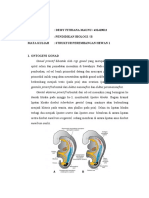 Ontogeni Gonad Dan Saluran Kelamin