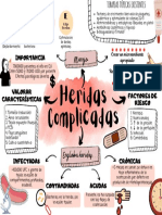 Manejo de Heridas Complicadas