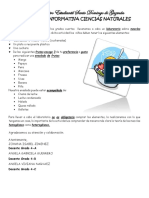 Nota Informativa Ensalada de Frutas 4tos 2021