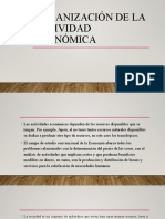 Organizaciòn de La Actividad Economica