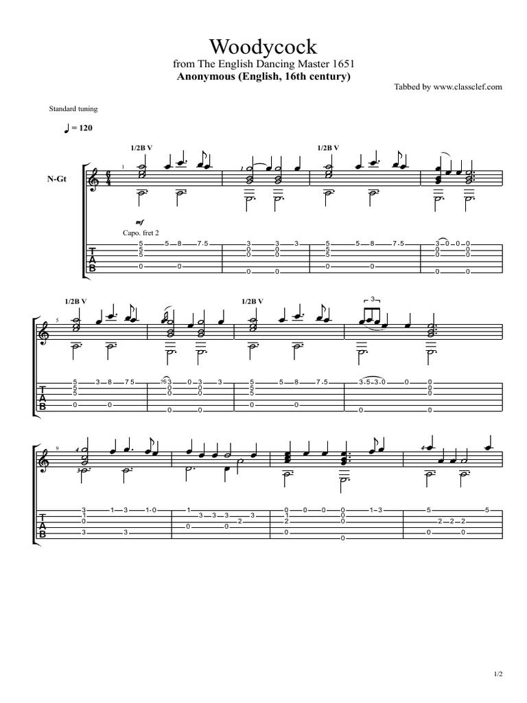 Woodycock Tab PDF Necked Lutes Guitar Family Instruments