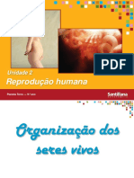 Reprodução Humana