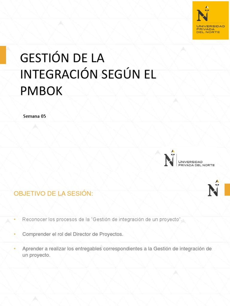Gestion de La Integracion Según El Pmbok PDF Planificación
