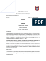 Informe 5