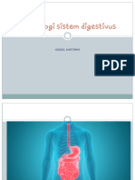 Embriologi Sistem Digestivus