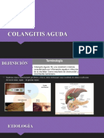 Colangitis aguda: diagnóstico y tratamiento