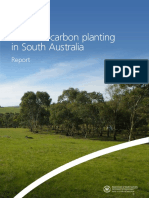 Carbon-Planting-in-SA