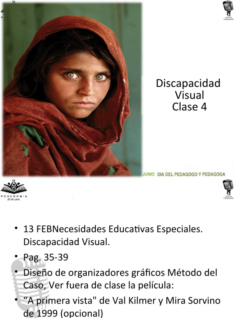 Discapacidad Visual | PDF | Ojo humano | Percepción visual