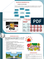 Boletín Seguridad Vial - Control de La Velocidad