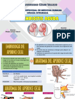 1 Apendicitis Aguda