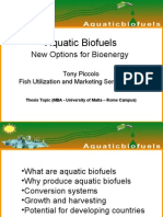 Aquatic Biofuels: New Options For Bioenergy
