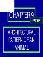 Architectural Pattern of An Animal