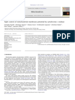 Tight Control of Mitochondrial Membrane Potential by Cytochrome C Oxidase