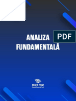 Analiza Fundamentală: Profit Point