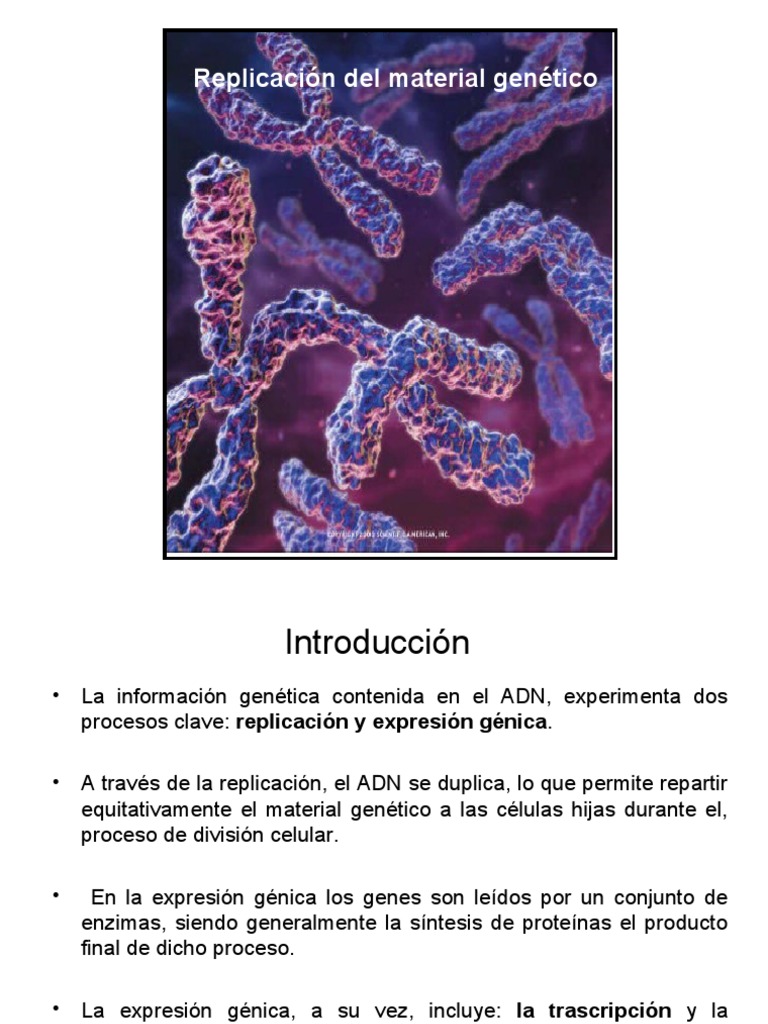 Replicación y Expresión del ADN | PDF | Replicación De Adn | Adn