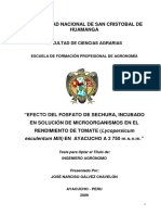 Tesis - Efecto Del Fosfato de Sechura, Incubado en Solución de Microorganismos en El Rendimiento de Tomate