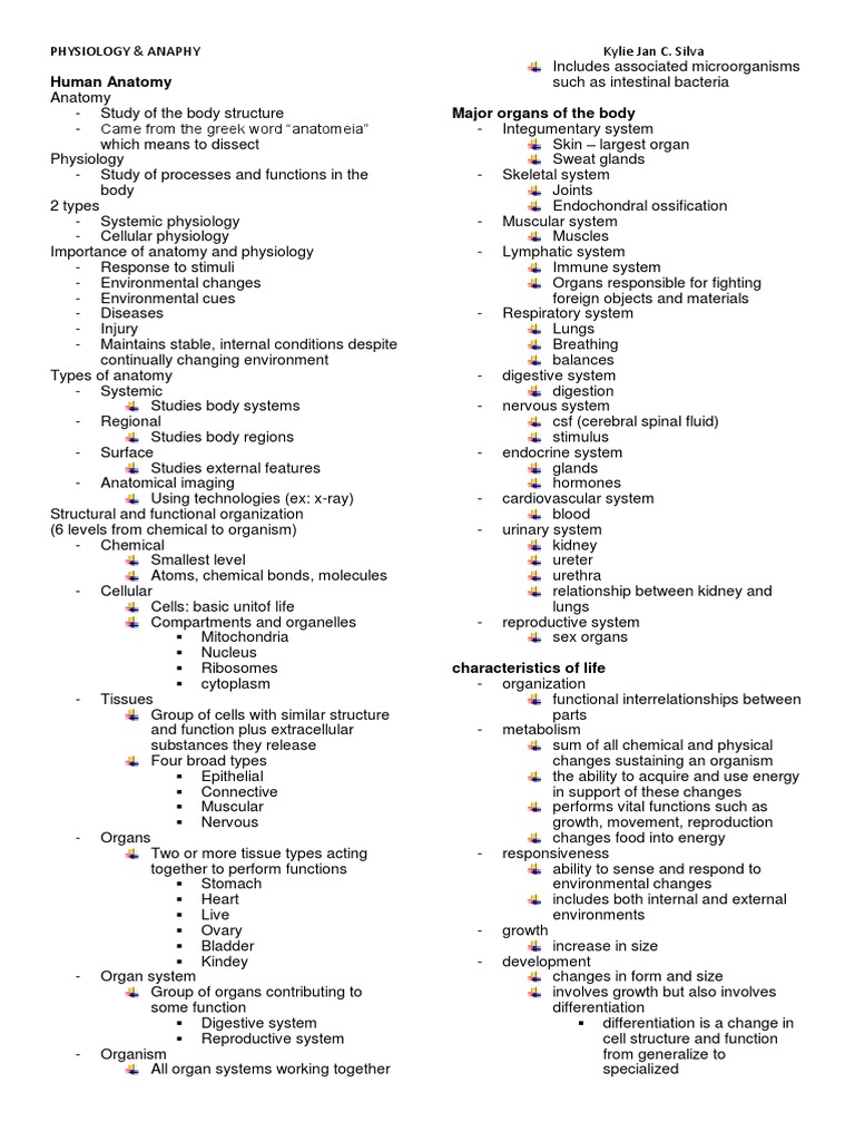 Human Anatomy Major Organs of The Body | PDF | Human Body | Peritoneum