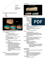 Integumentary System 2 Main Regions: Human Anatomy & Physiology Kylie Jan C. Silva