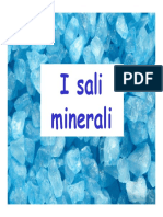 Prof._Andrich_-_I_sali_minerali